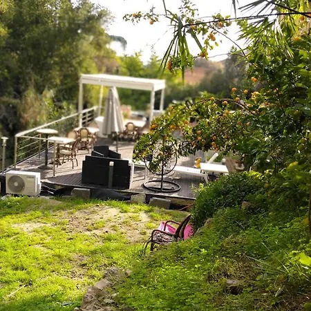 Oasis *